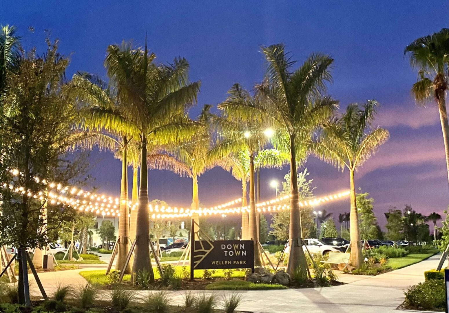 A park with palm trees and lights at night.