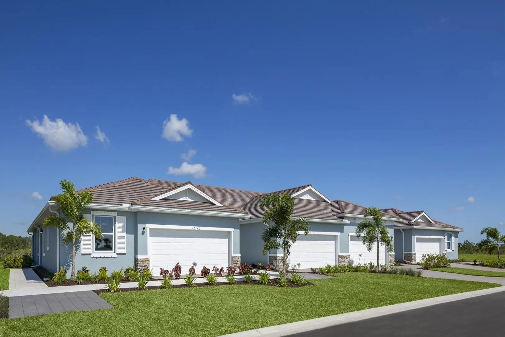 A row of houses with palm trees in the background.