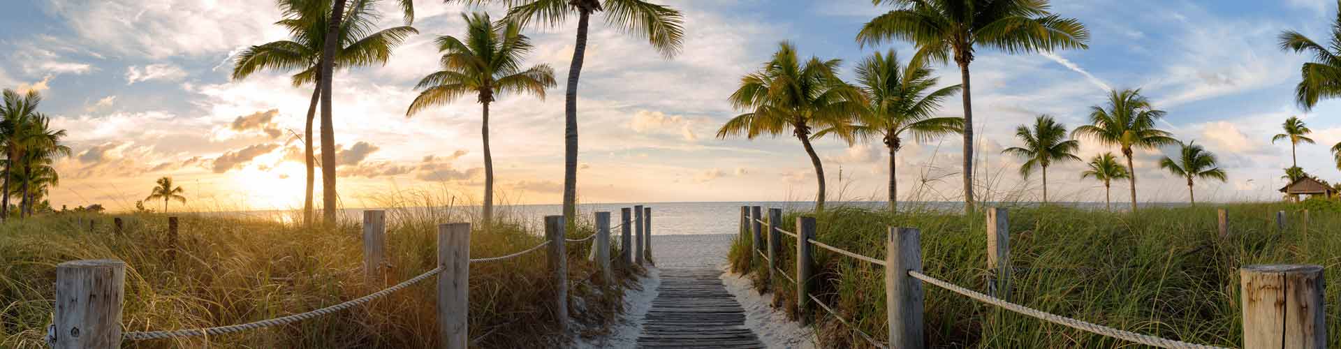 A boardwalk going to the beach with palm trees.