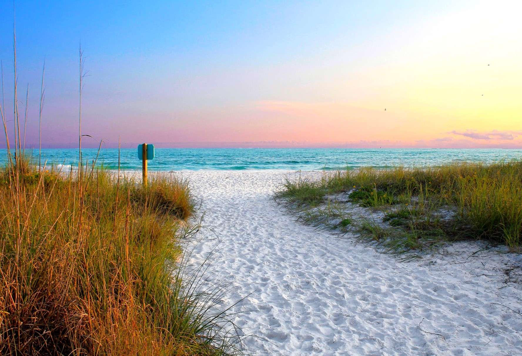 A beach with grass and sand next to the ocean.